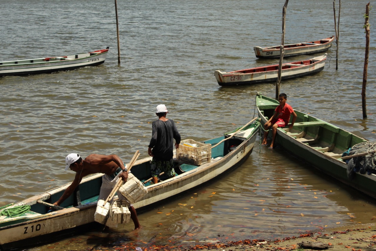 Imagem de  “Pescado livre de óleo: iniciativa do Governo de Pernambuco, AD Diper e IABS busca ajudar pescadores e marisqueiras de Itapissuma”