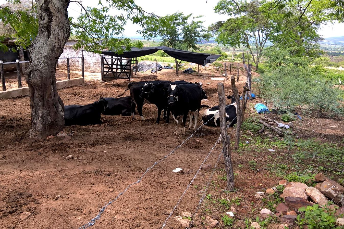 AlshUXx_N9LrN1aVp1Mkw7K18O8JouI1PzwShwG-KLco