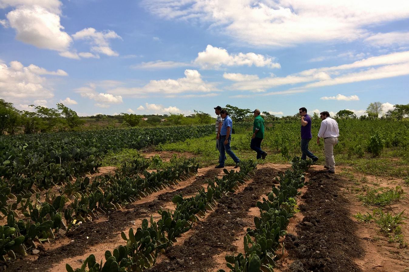 AmoxGQNgw7YykgoaYBb3BDeJPwgUcy6FomAVStSKWXyU