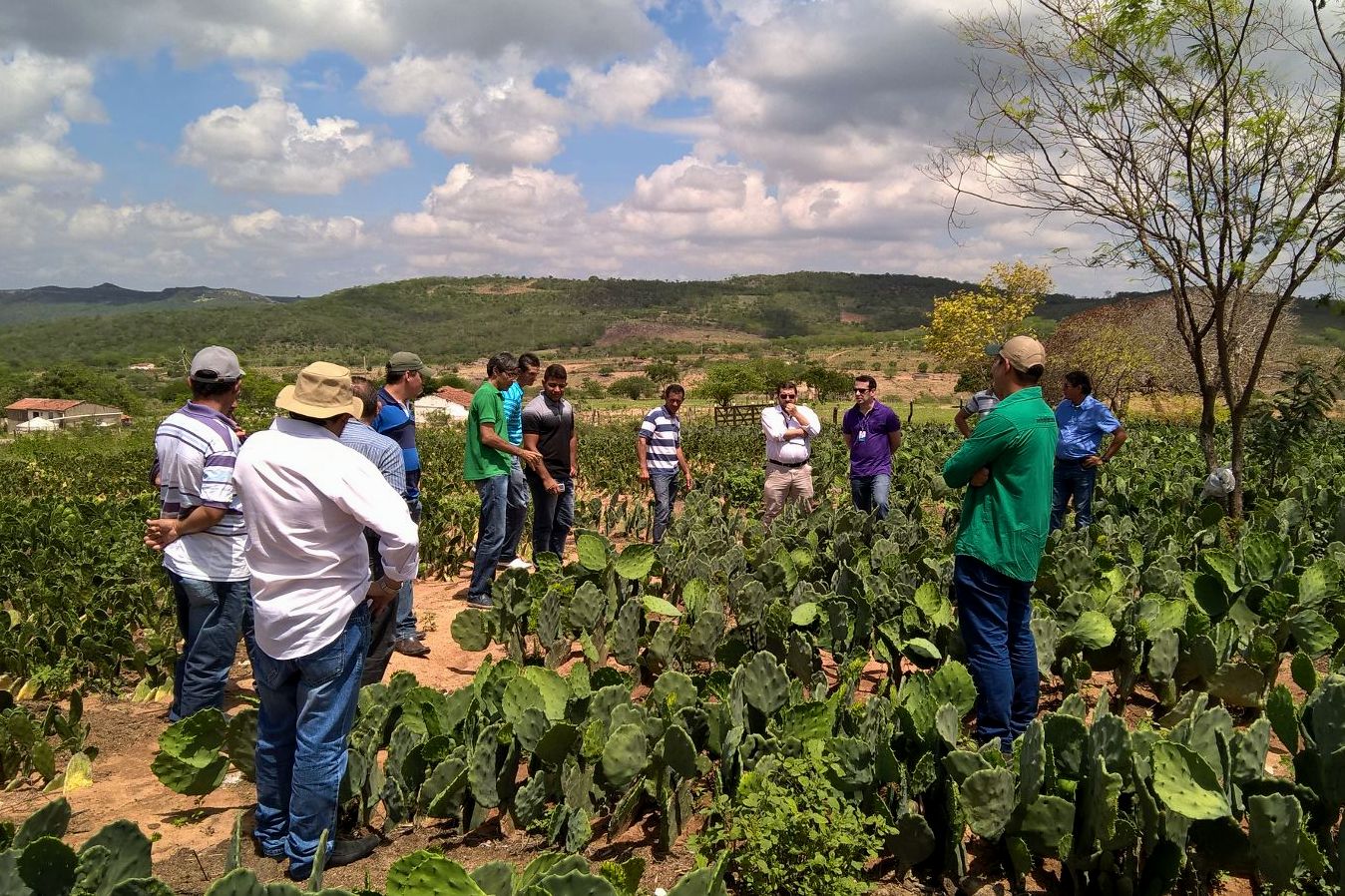 AqXS7ftDOm2pVCUxpailKRV2S8n51WeuCVNCRTDUB3fu