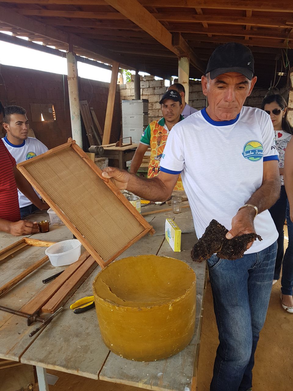 Imagem de  “Pernambuco se prepara para exportar mel pela primeira vez”