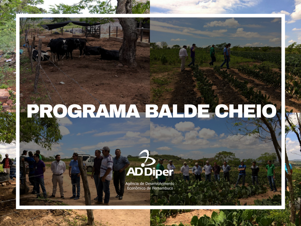 Imagem de  “AD Diper monitora o programa Balde Cheio em Manari”