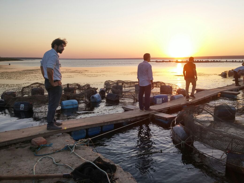 Imagem de  “AD Diper investe em APLs de piscicultura e aves”