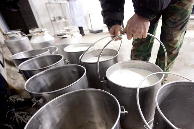 Projeto incentiva a produção de leite do Agreste Meridional