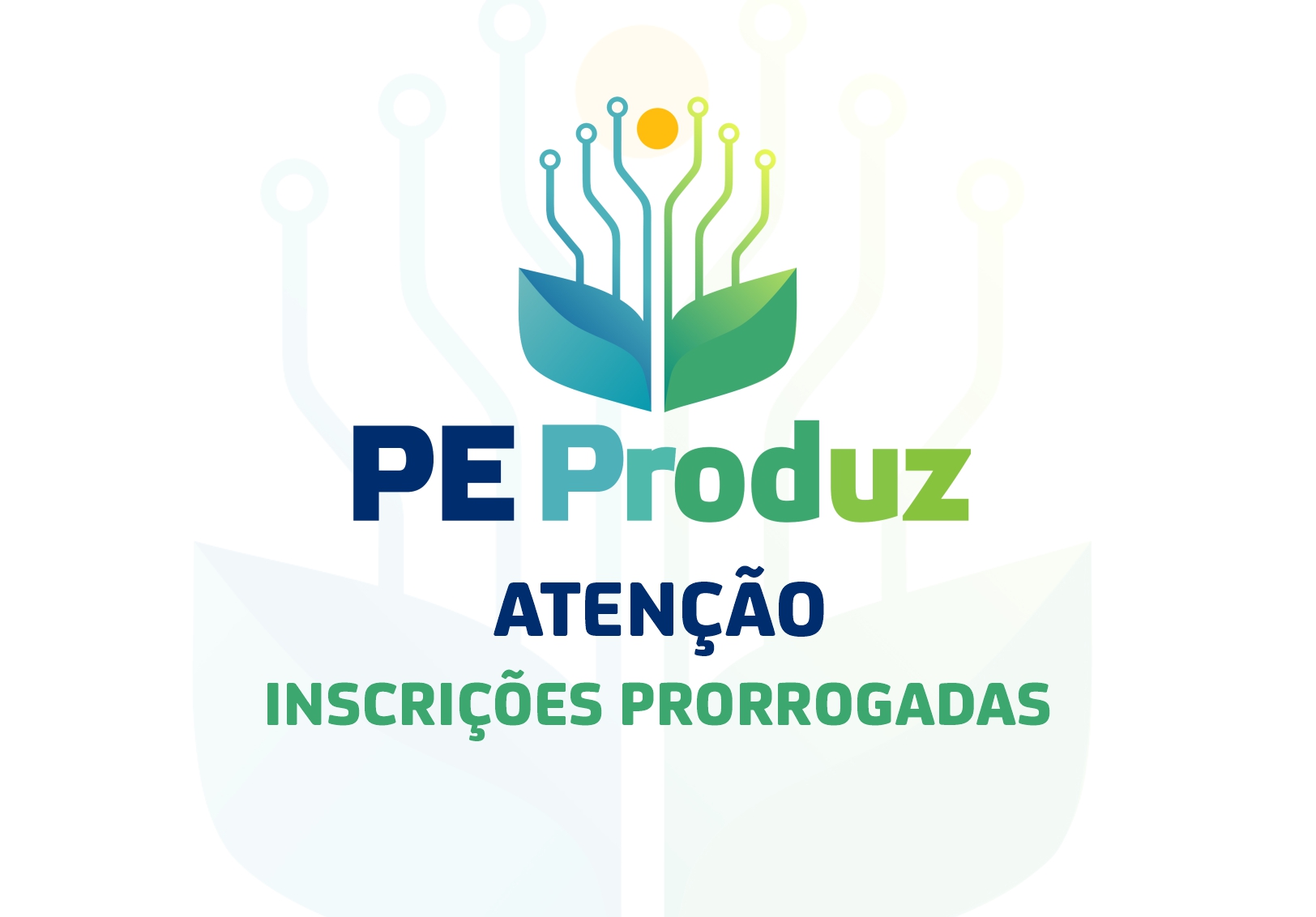 Imagem de  “Prorrogadas as inscrições para o Programa PE Produz em Pernambuco: Oportunidade para impulsionar negócios locais”