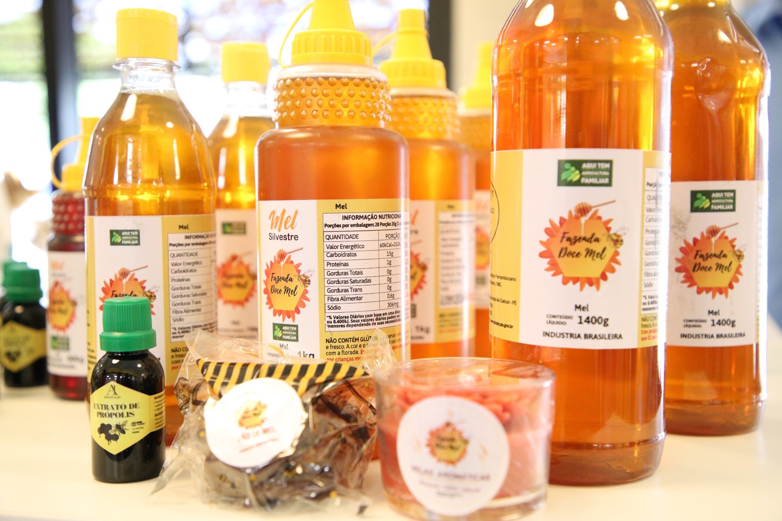 Imagem de “Queijo de Coalho e Mel do Araripe podem ser contemplados com projeto de Identificação Geográfica da Adepe e do Sebrae”