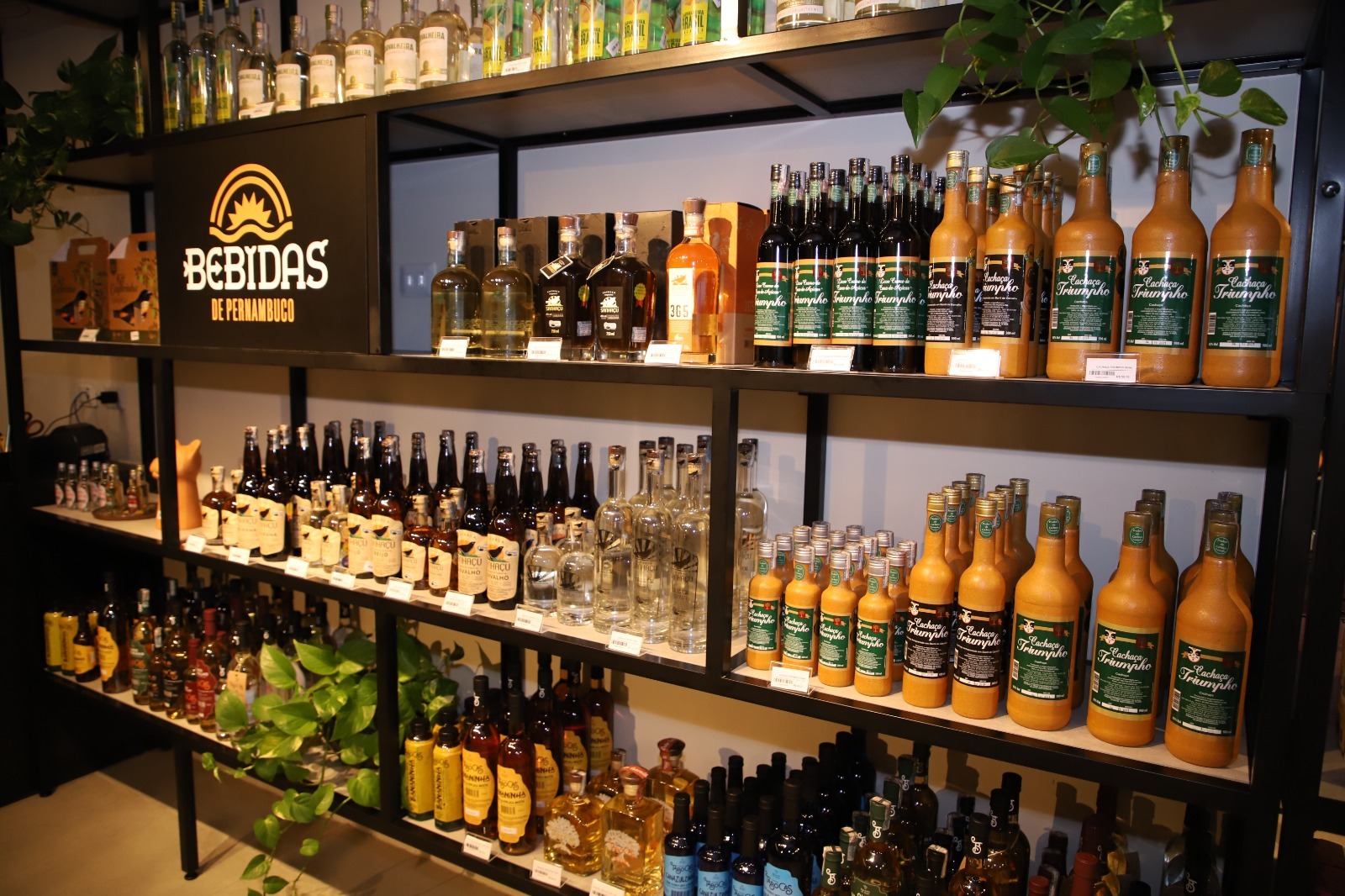 Imagem de “LOJA BEBIDAS DE PERNAMBUCO // Bebidas artesanais pernambucanas são destaque na Areia Mostra de Cachaça 2025 na Paraíba”